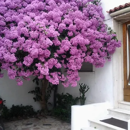 Lea Bed & Breakfast 2*
